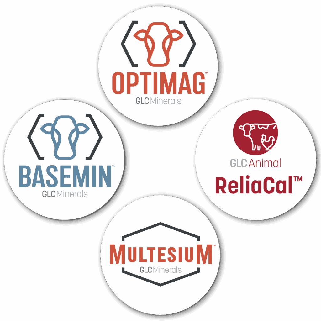 GLC Minerals Animal Nutrition calcium and magnesium products OptiMag, ReliaCal, Multesium, BaseMin. 