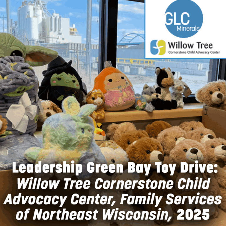 Leadership Green Bay Toy Drive: Willow Tree Cornerstone Child Advocacy Center, Family Services of Northeast Wisconsin, 2025