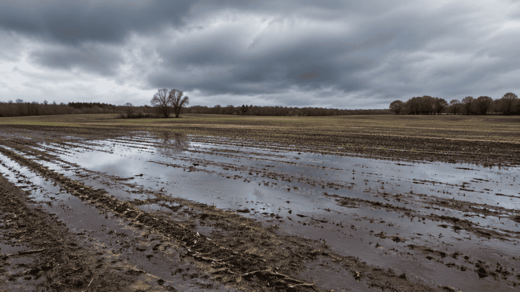 Flooded crop field in Northeast Wisconsin with standing water during planting season.